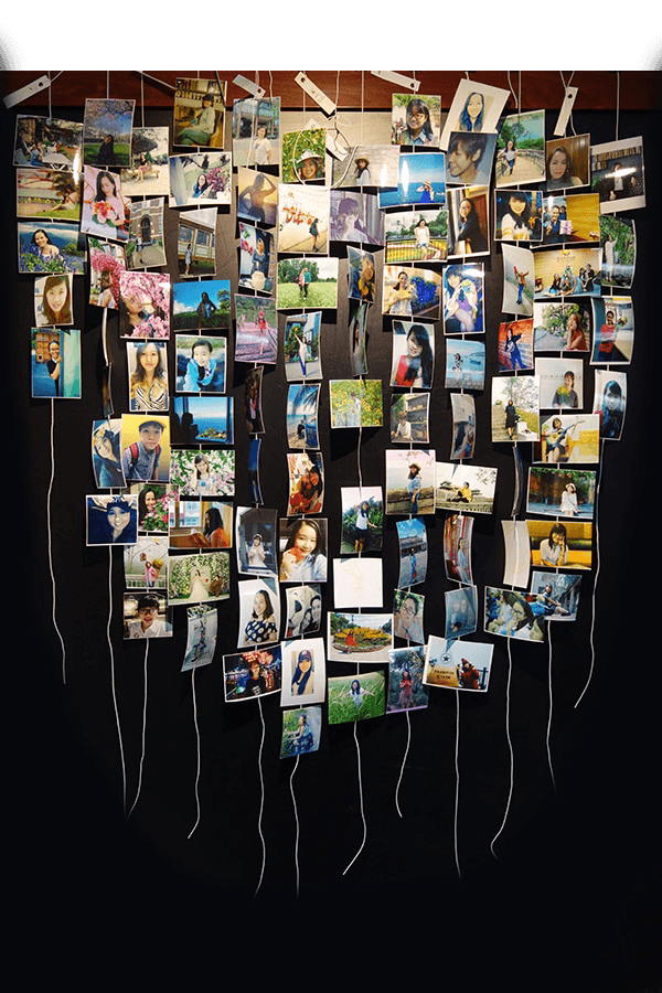 Image module