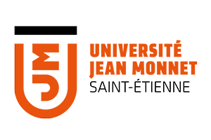 Image module
